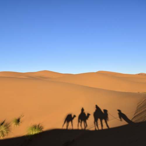 travel_UAE-experience-day3