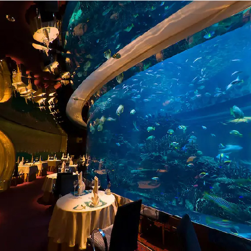 travel_UAE-experience-day9